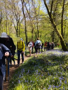 Randonnée d'une vingtaine de déficients visuels et accompagnateurs sur un chemin en sous-bois